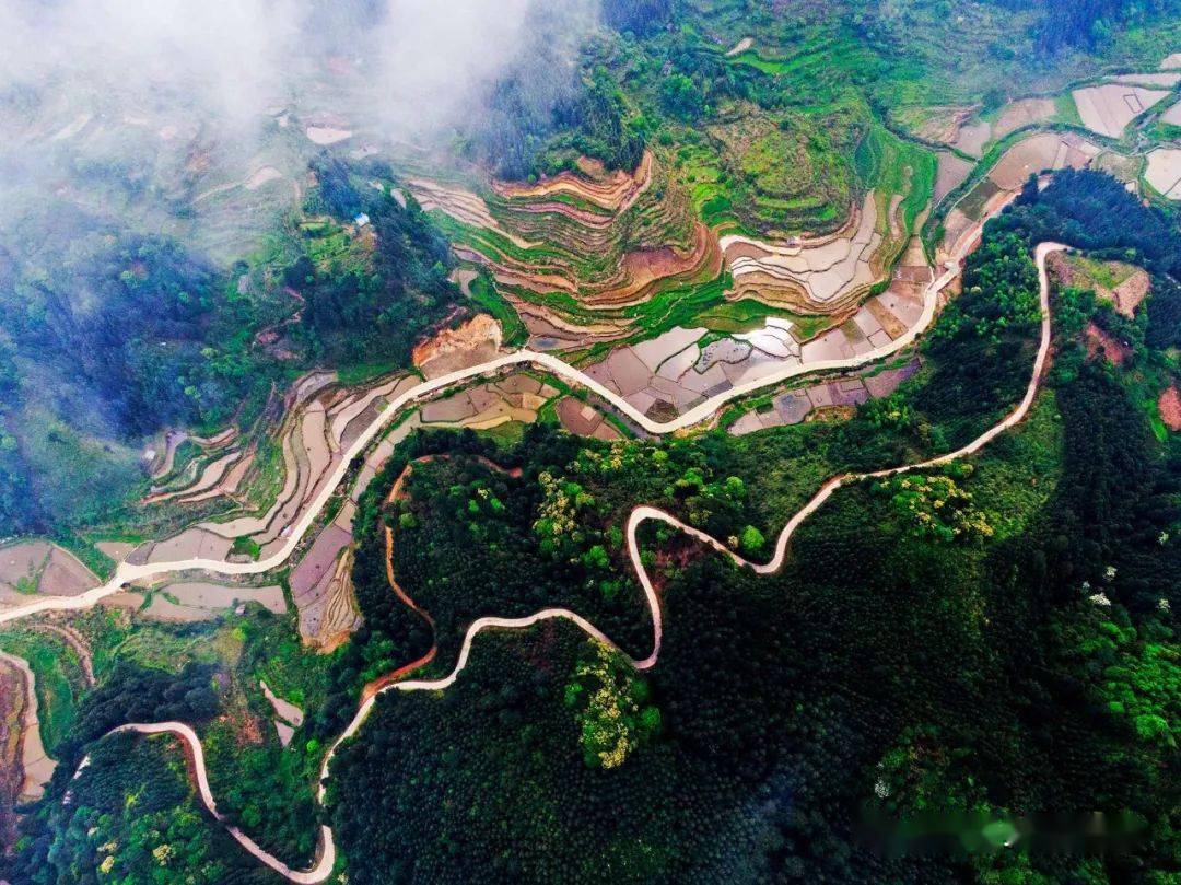 在拱洞鄉龍培村,新建的機耕路逶迤在高標準農田間.