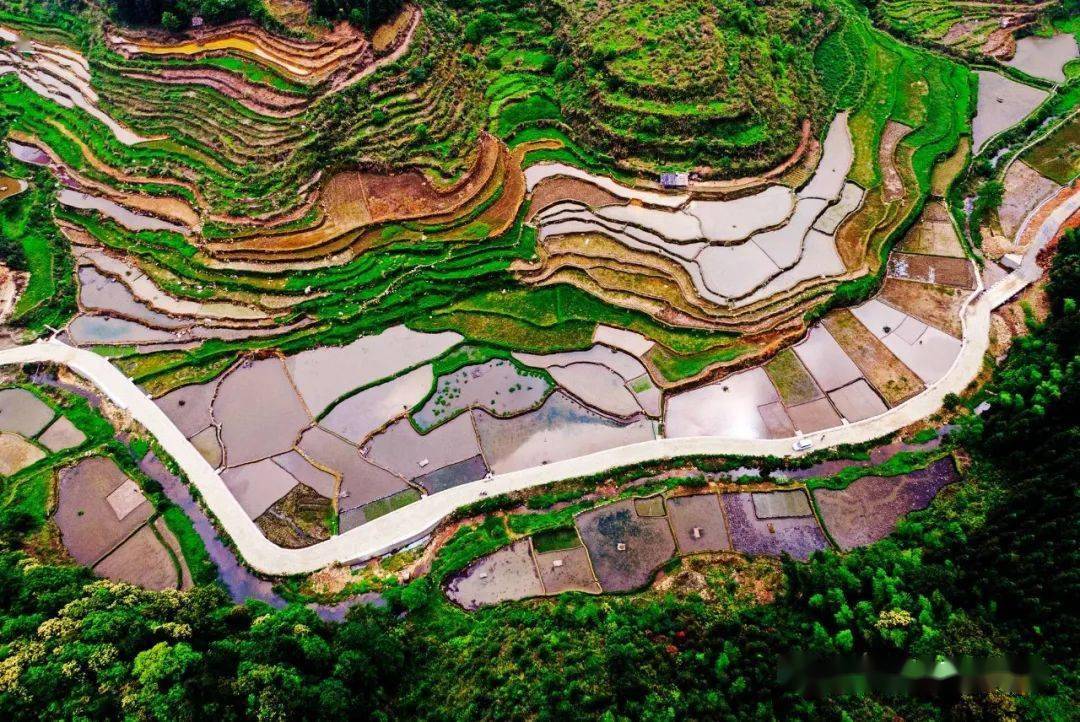 在拱洞鄉龍培村,新建的機耕路逶迤在高標準農田間.