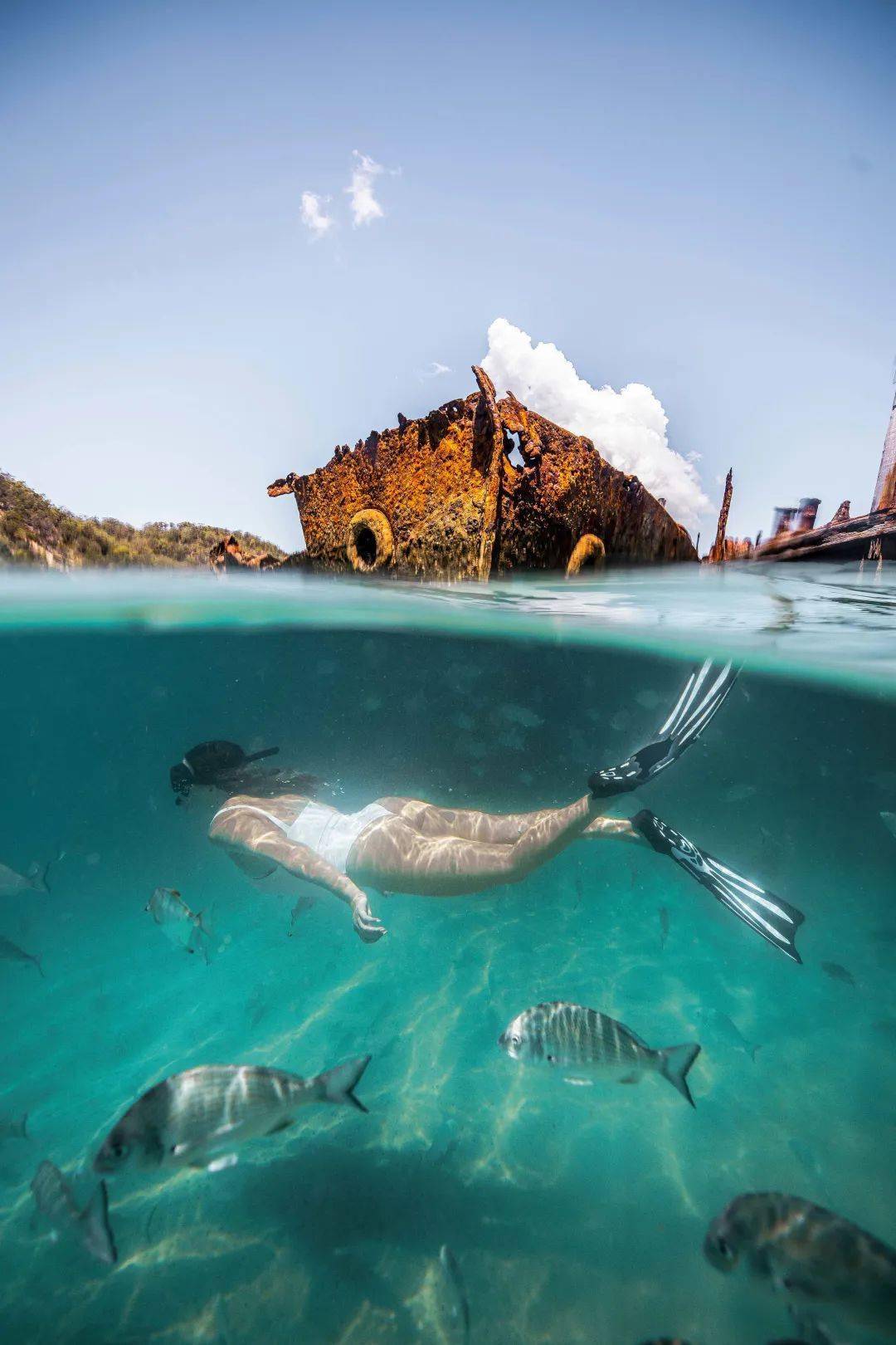 初次体验潜水?一定要来大堡礁!_reef_心形_and