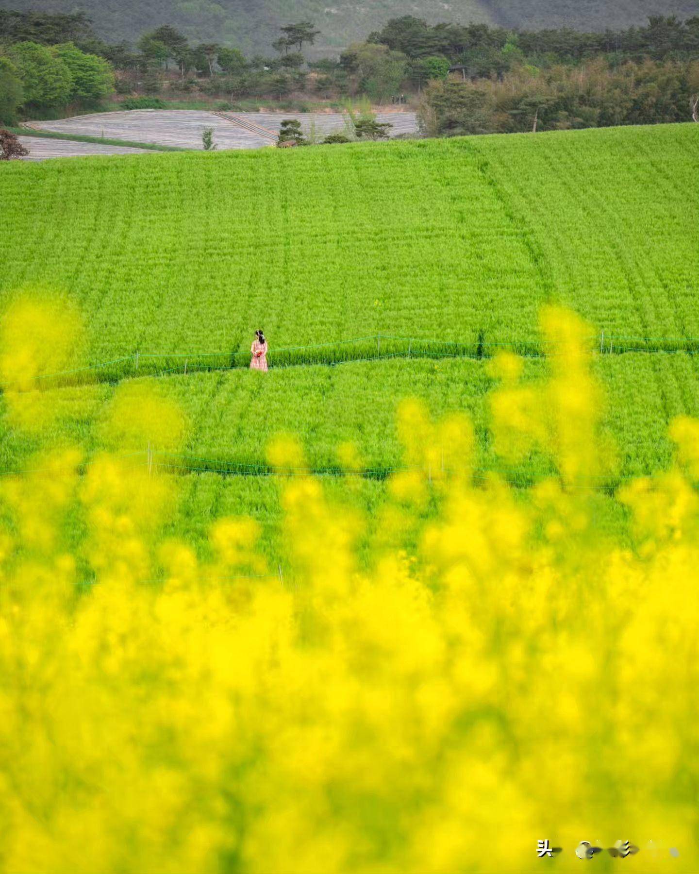 用5个变化,让你的夏天风景照片与众不同,摄影技巧很简单_画面_机位