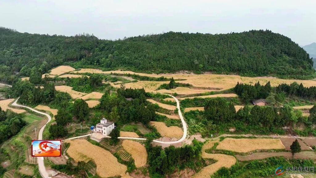 铜鼓乡:撂荒地变希望田 机械化服务助丰收_小麦_种植_业主
