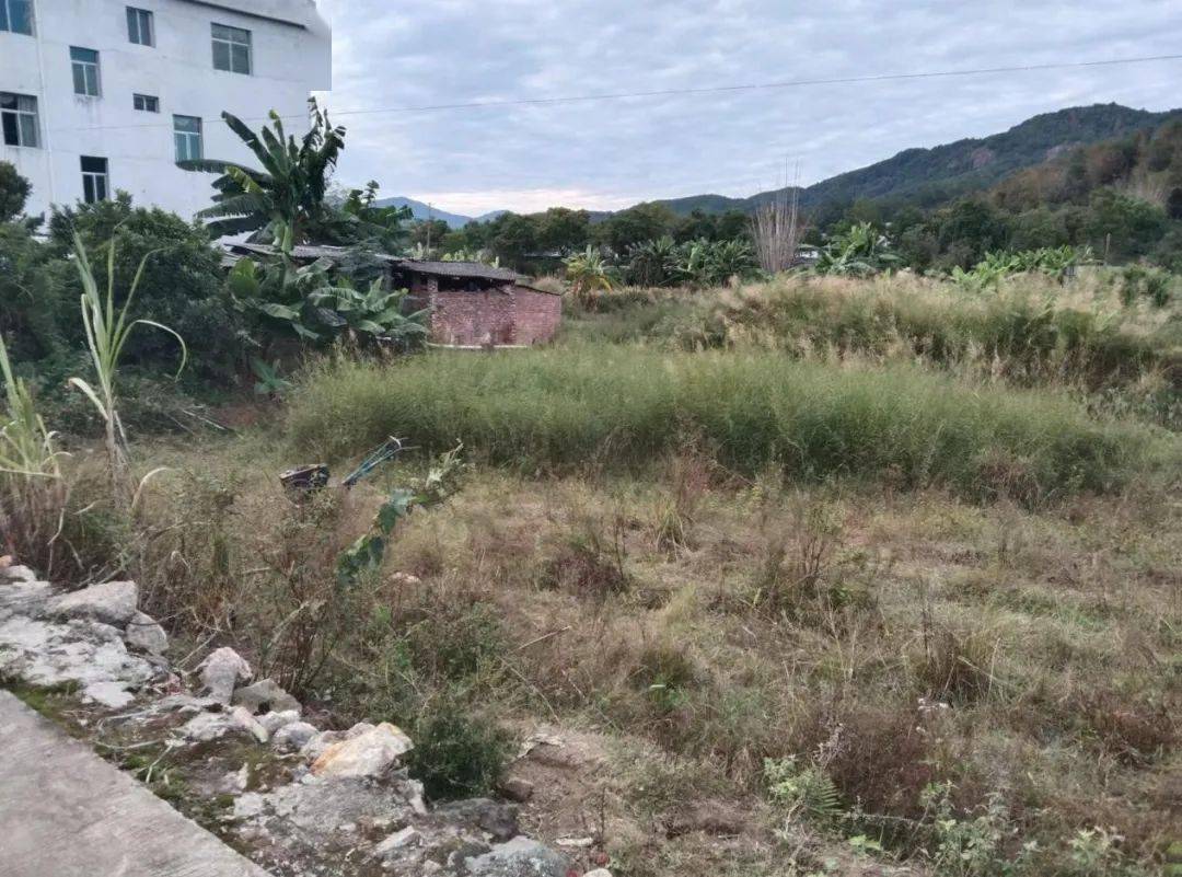 环保要闻丨武平县十方镇彭寨溪水环境综合整治工程初显成效_项目总