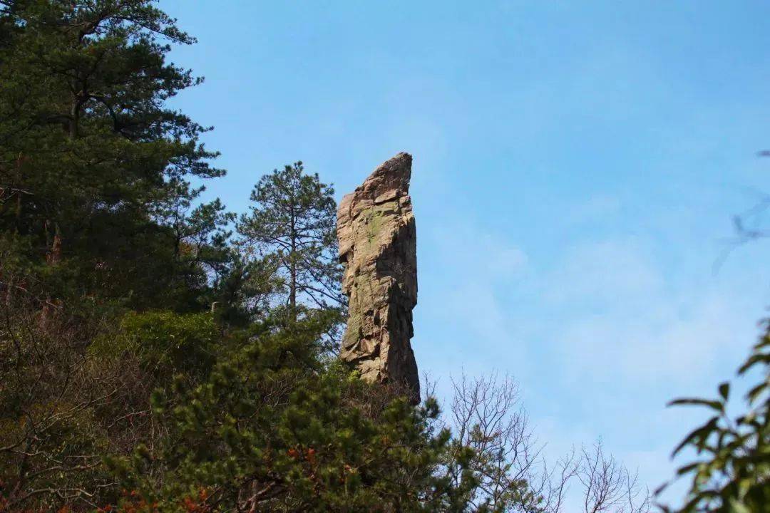 探寻靖安三爪仑:一场愉悦自我的旅程