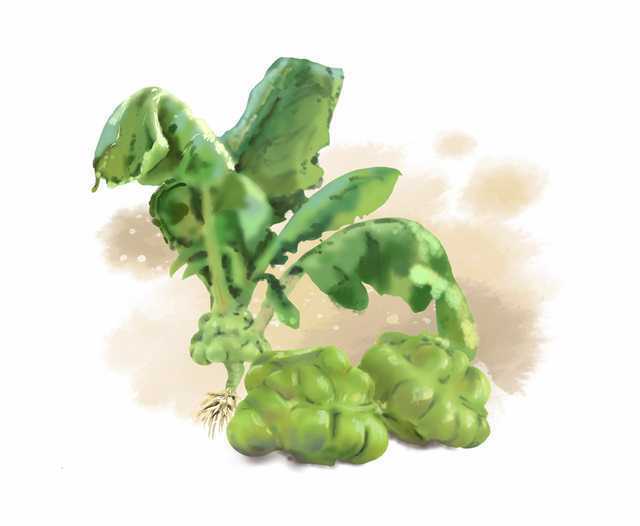 让"国民下饭菜"越吃越香_研究_重庆市_榨菜