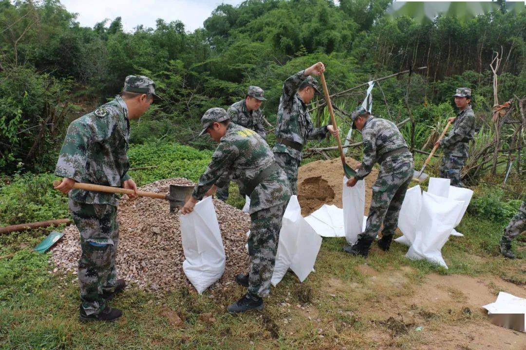 漳浦縣開展2023年軍地防汛搶險暨縣城超標洪水演練_應急_分隊_任務