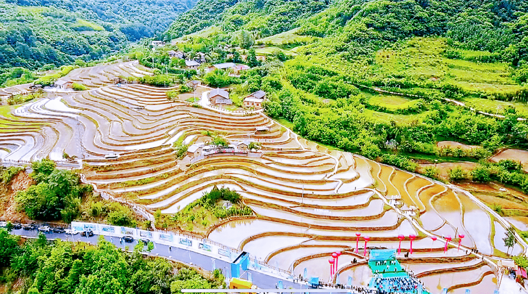 5月24日,太白县首届郎坝插秧节在黄柏塬镇开幕.
