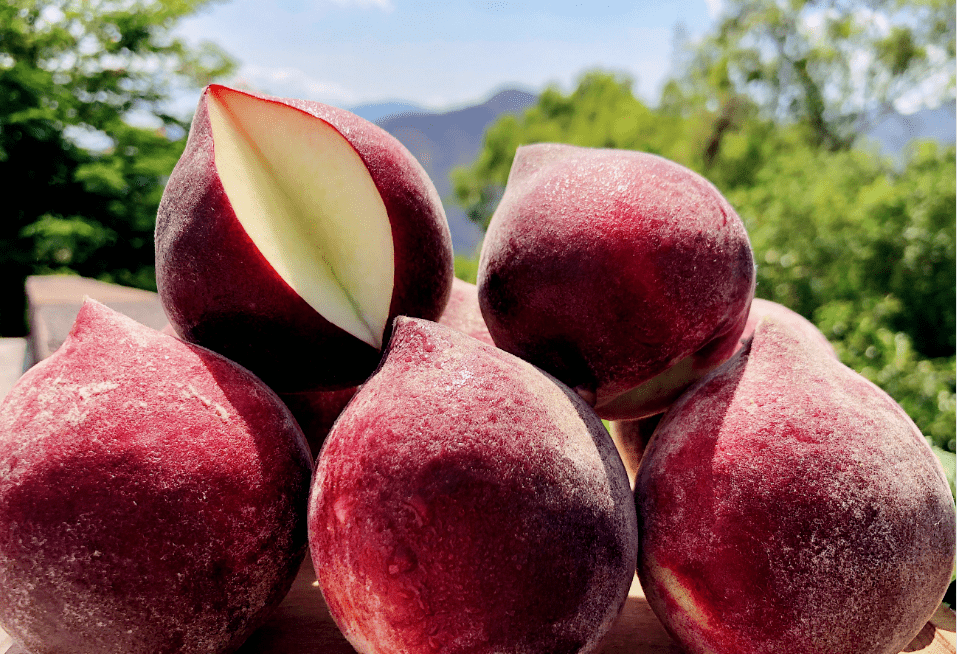 【攀枝花黑美人水蜜桃】39.9元起享硬吃香甜!