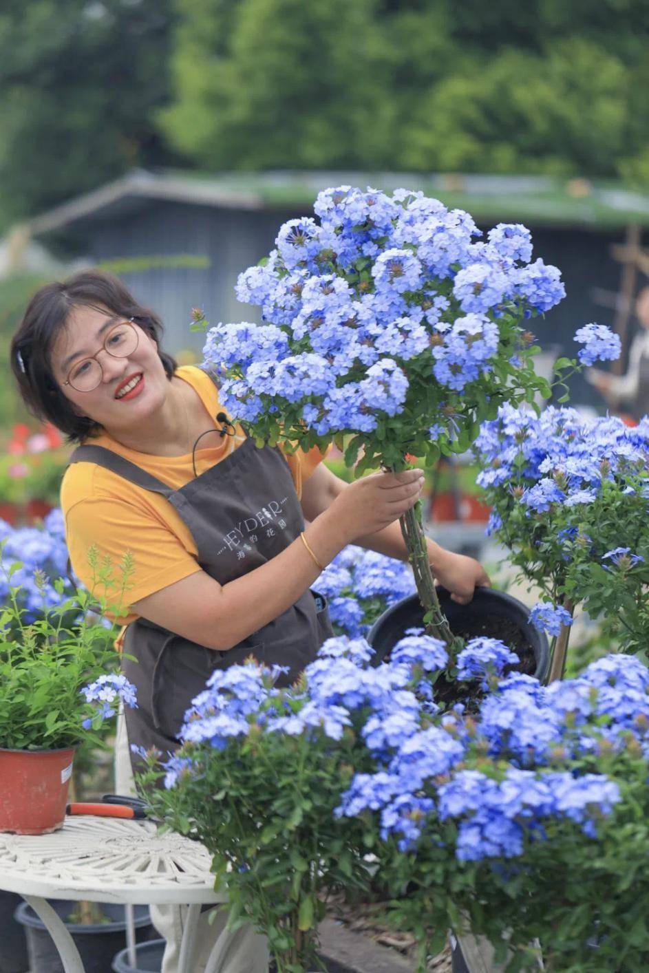 从it销售到百万园艺达人 她用15年热爱打造3000平米"海蒂的花园"_海妈