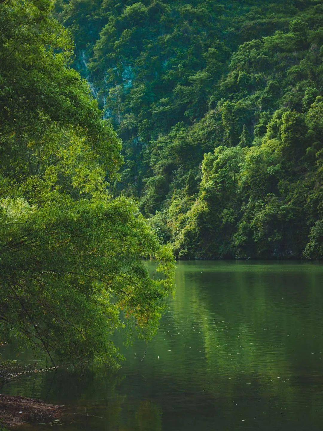 湘西酉水河景区介绍图片