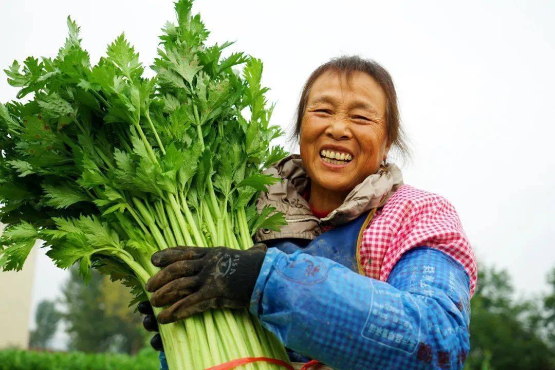 美翻了我的村第65期 | 河南省洛阳市孟津区会盟镇:河洛江南 鱼米之乡