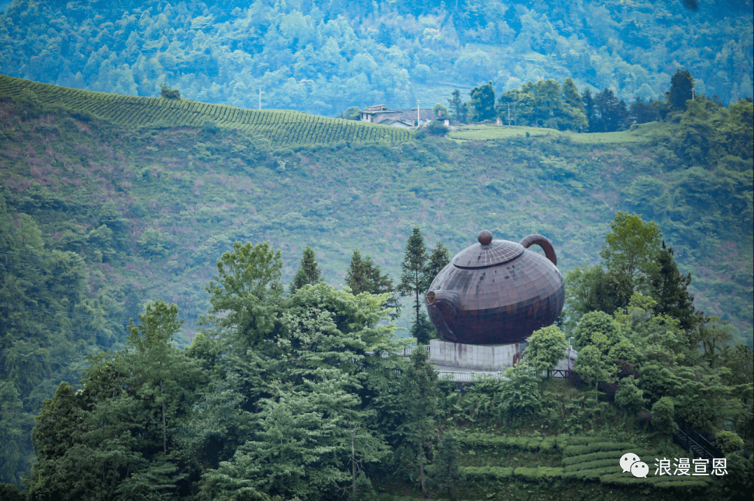 伍家台茶园简介图片