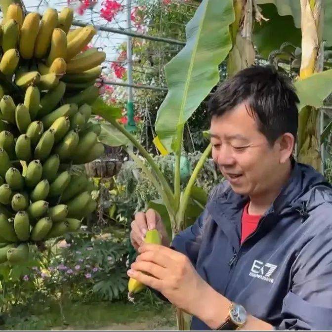 大连交通广播高峰图片