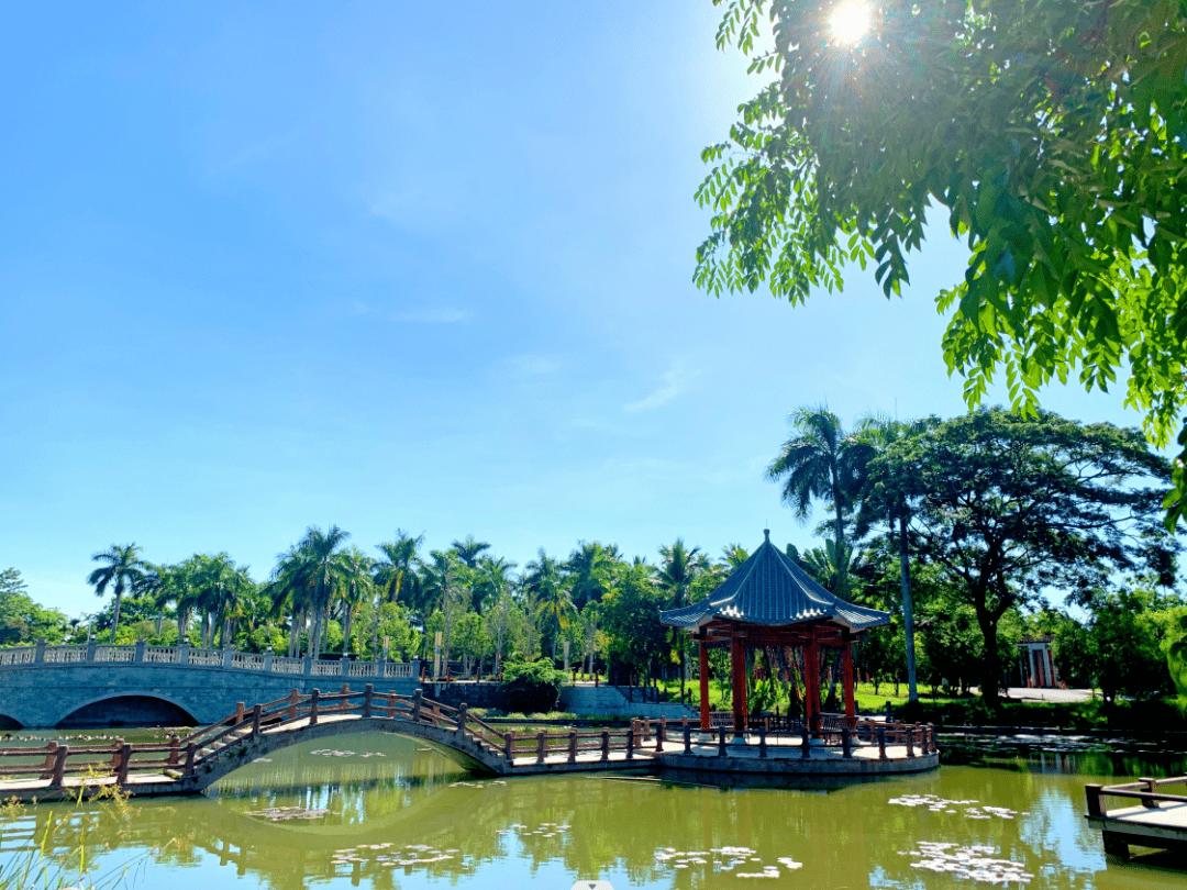 万宁市"兴隆南药园"被认定为国家3a级旅游景区_海南省_植物_科普性