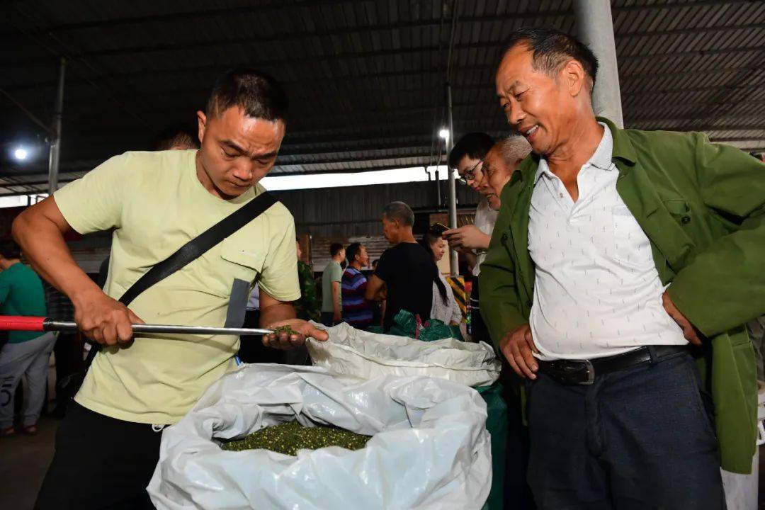 价格开市当天九叶青花椒综合交易市场开市重庆市江津区先锋镇全国最大