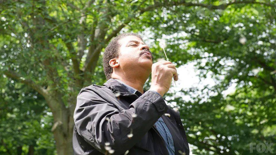 活在此刻,犹如最后一次也是初次看到世界一样去观察_皮埃尔·阿多