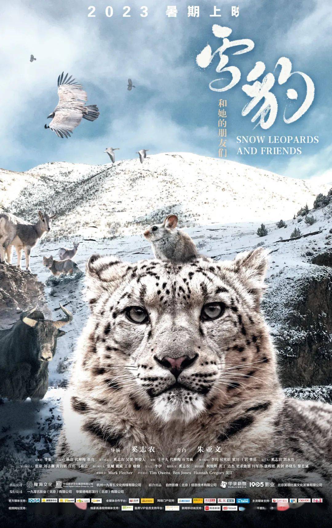 朱亚文倾情配音_青藏高原_雪山_动物