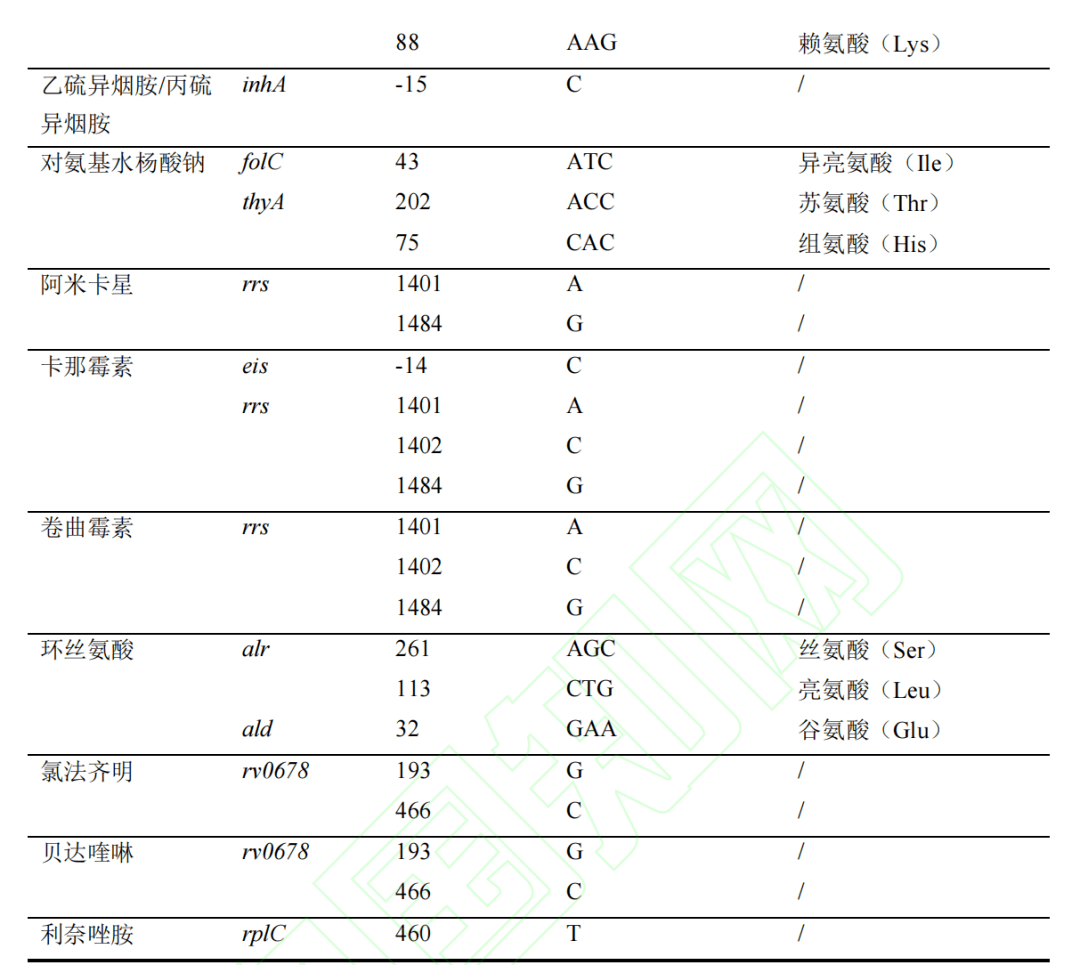 肺结核报告单图片