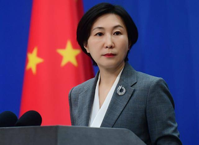中国外交官图片女性图片