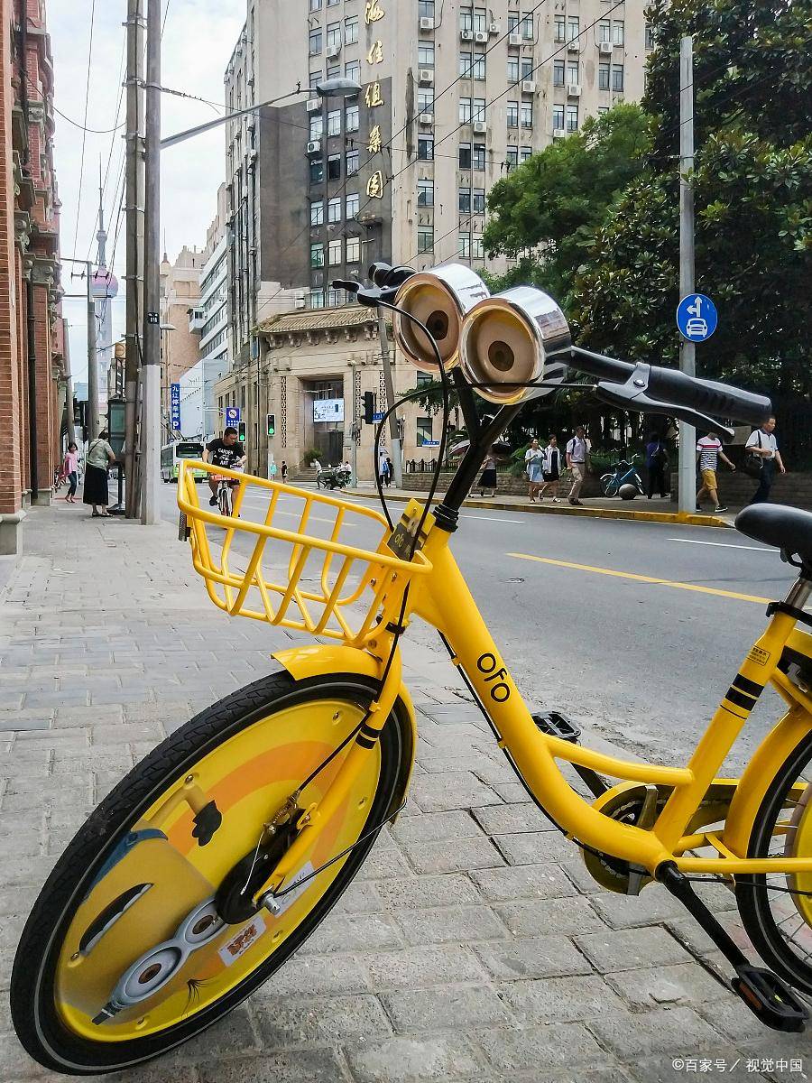 最近,戴威在美国加州开设了一家名为"scooters jungle"的儿童游乐