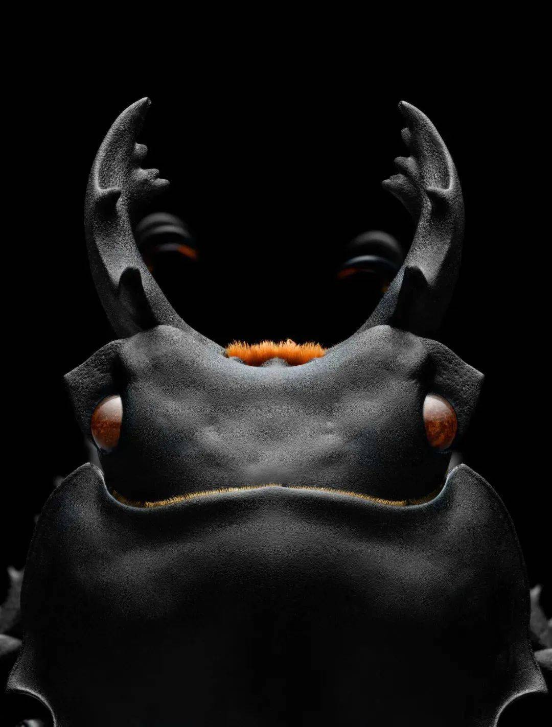 富士胶片中国区数码相机线上影廊 正式开启_作品_用户_影像