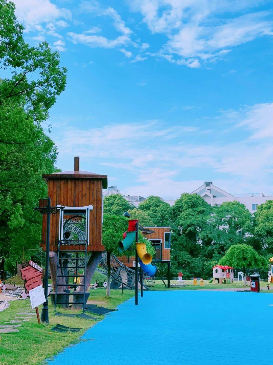 慈溪这所幼儿园荣获国家级称号!全国首批!_营养_管理水平_保健