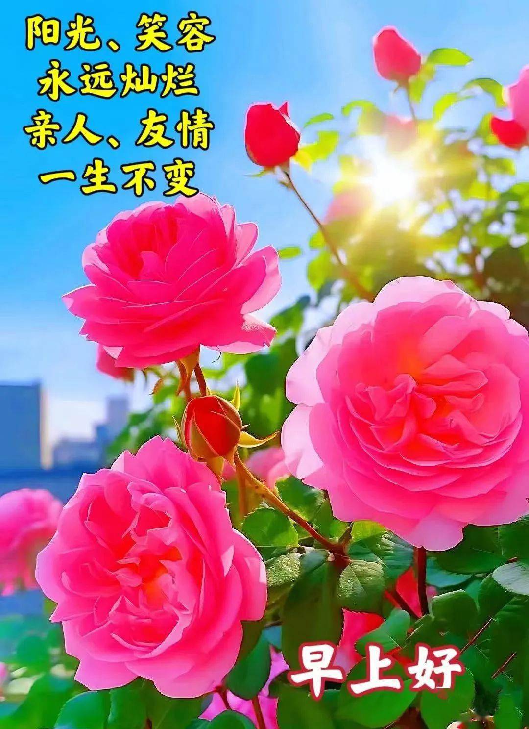 心情愉快添福气,开心快乐最无敌._生活_祝福_微信