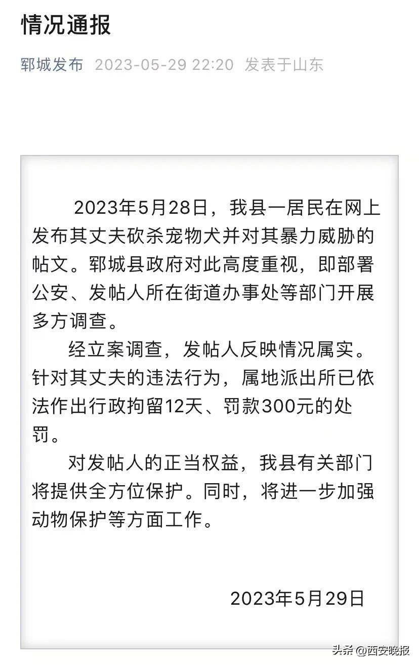 深夜通报！男子砍死柯基威胁妻子，被拘留12天！