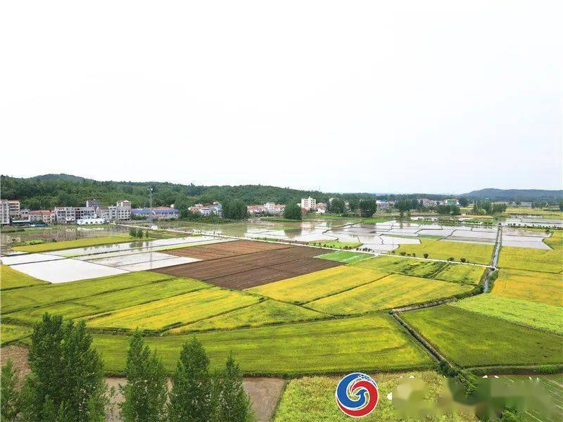 旅游示范基地",第一个"长寿大学摄影基地"授牌仪式在谷城县茨河镇举行