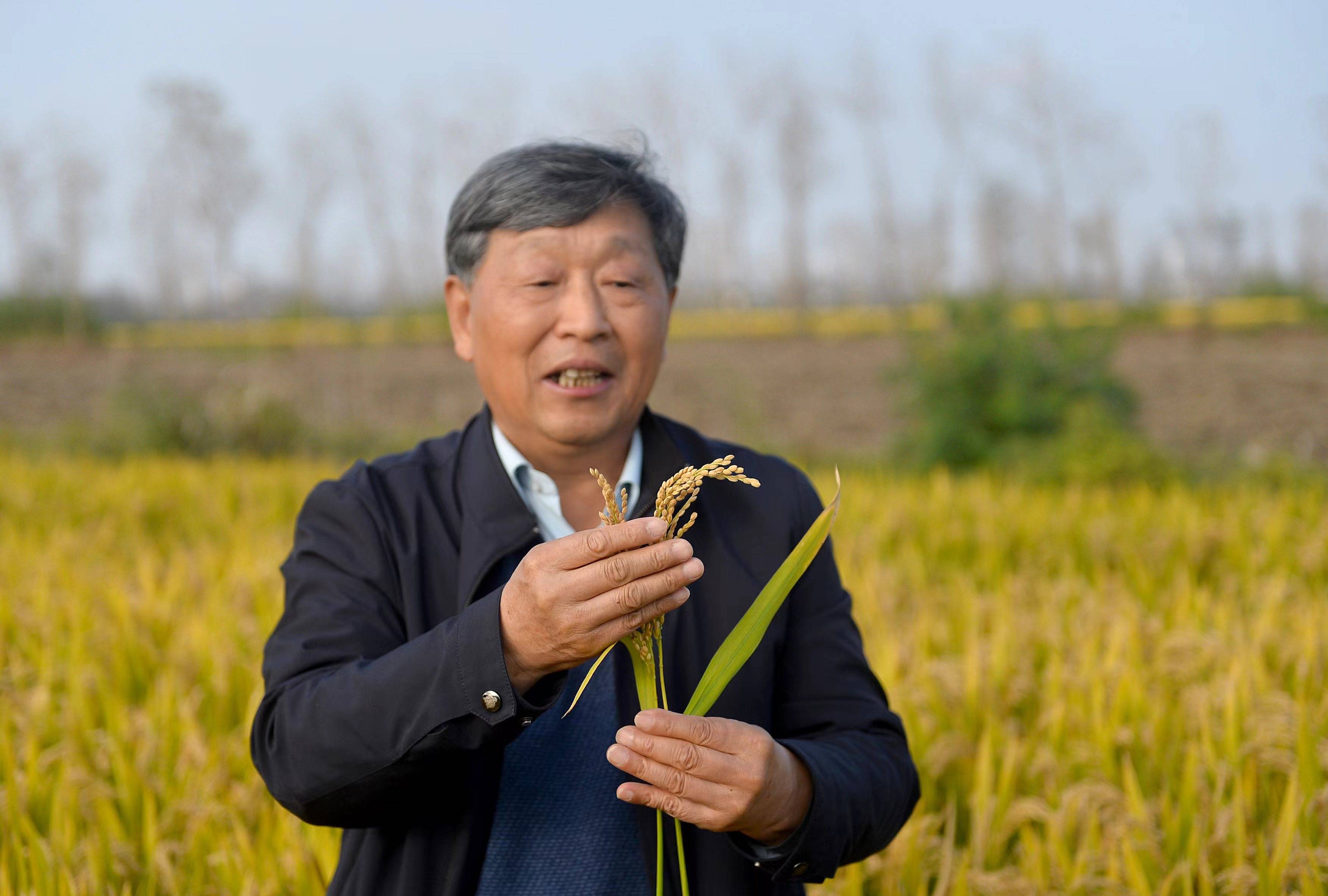 创新争先奖|中国工程院院士,扬州大学教授张洪程:勇闯创新"无人区" 遍