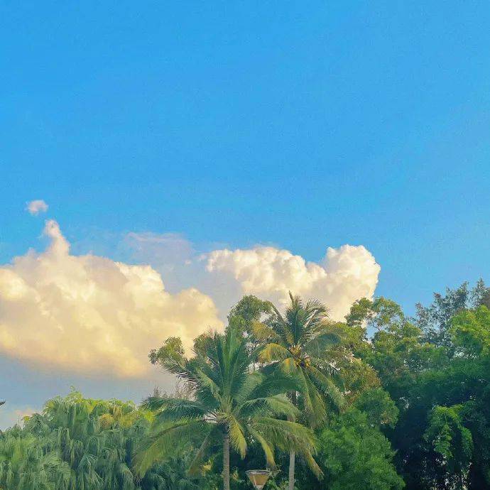 背景图 | 立刻保存朋友圈背景图