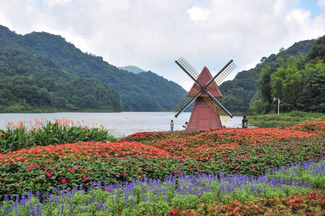 還有廣東這些景區順德歡樂海岸plus是國家3a級旅遊景區,飛躍加勒比