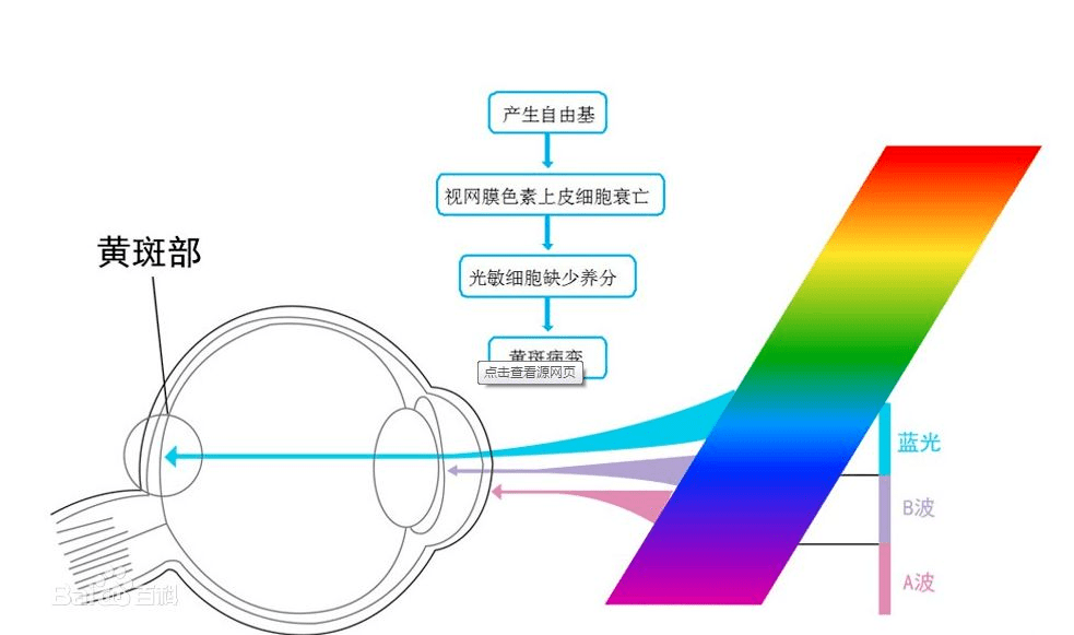 看完这篇文章你就知道了_视网膜_短波_nm