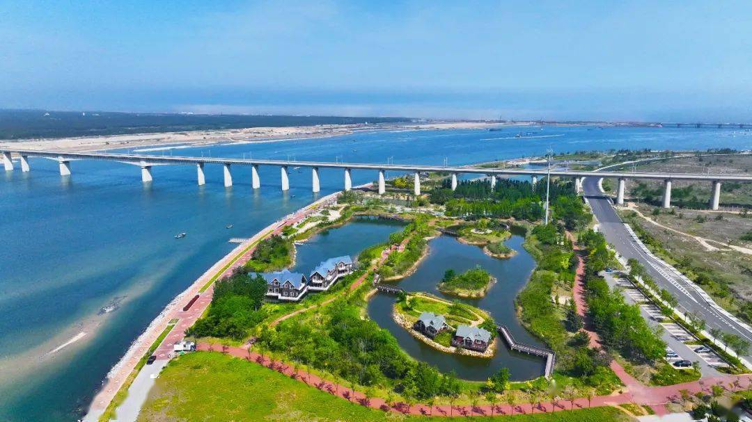 双岛湾渔耕文化园:用一片浪漫花海惊艳初夏_玫瑰_阳光_公园