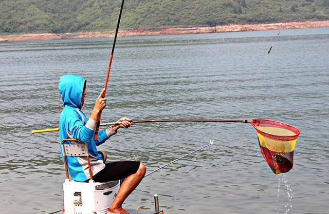 如何挑选合适的鱼竿，提高钓鱼效率？_手机搜狐网
