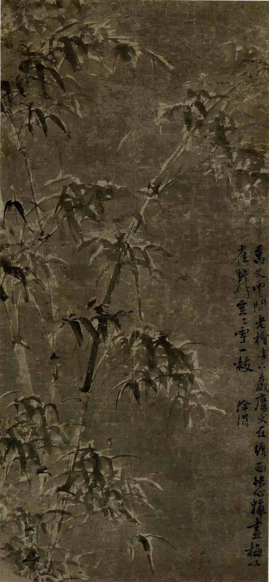 徐渭写竹，狂放不羁，墨气淋漓_水仙_竹子_竹卷