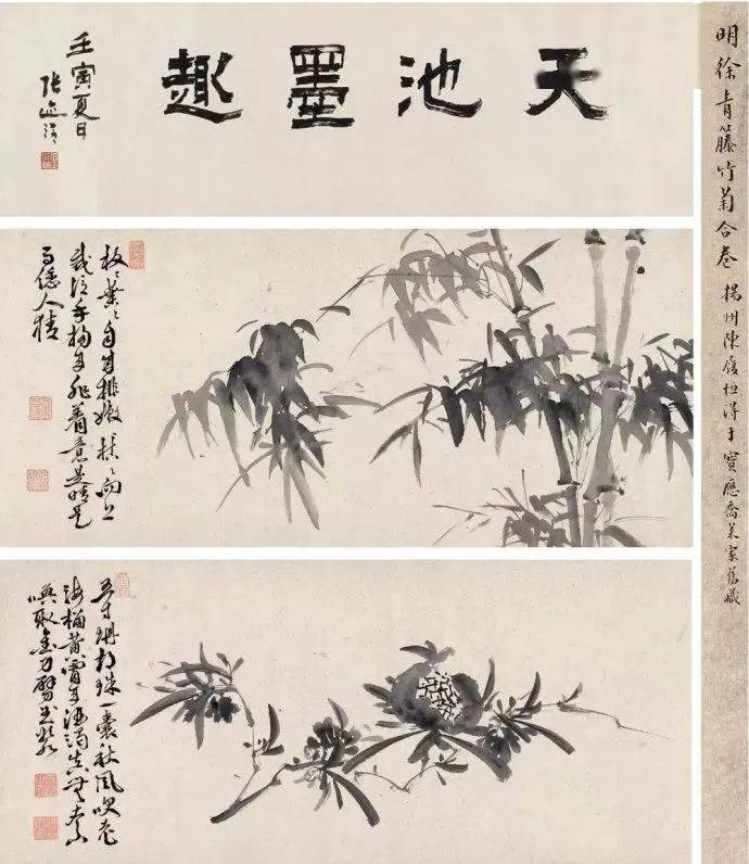 徐渭写竹，狂放不羁，墨气淋漓_水仙_竹子_竹卷