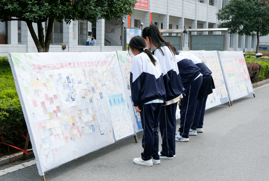 高三政治核心观点卡片专项（彩色版）
