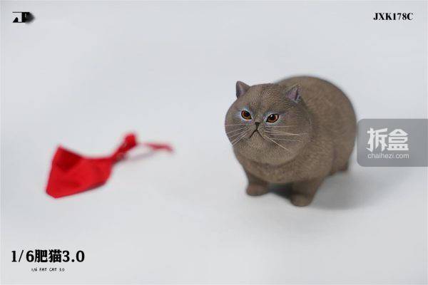 JXK 1/6 肥猫3.0 可爱萌系猫咪宠物模型摆件手办潮玩_搜狐网