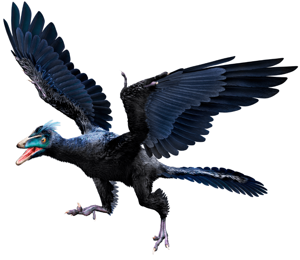 关于始祖鸟,你不一定知道的10个事实