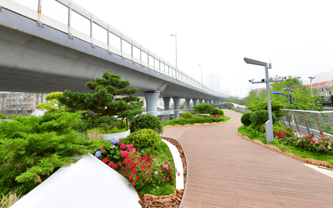"岛"浮空中,人在画中……大鲍岛文化休闲街区现首个"空中花园"