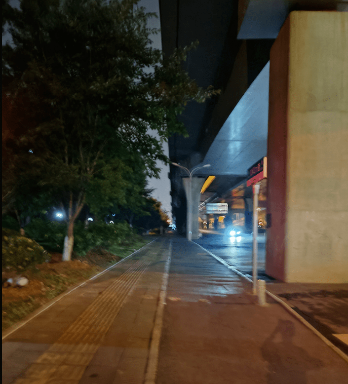 东风大道龙源映象到丝宝工业园，外侧人行道路灯坏了晚上漆黑一片看不清楚?_工作_维修_亮灯