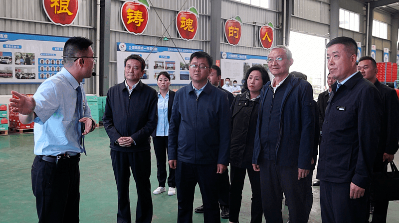 5月31日,上合组织秘书长张明对洛川苹果产业进行实地考察,延安市委