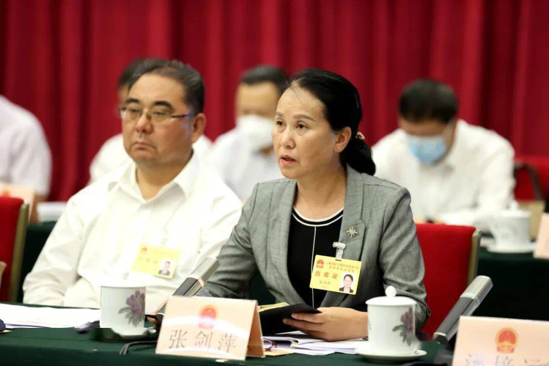 云南省人大常委会组成人员张剑萍就有关问题进行现场提问.
