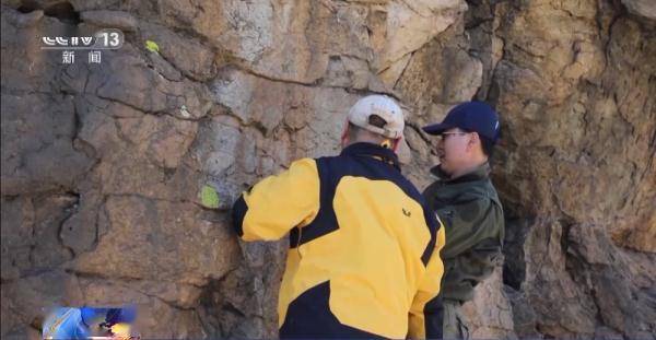 “岩画”呼伦贝尔草原上发现了千年前的岩画