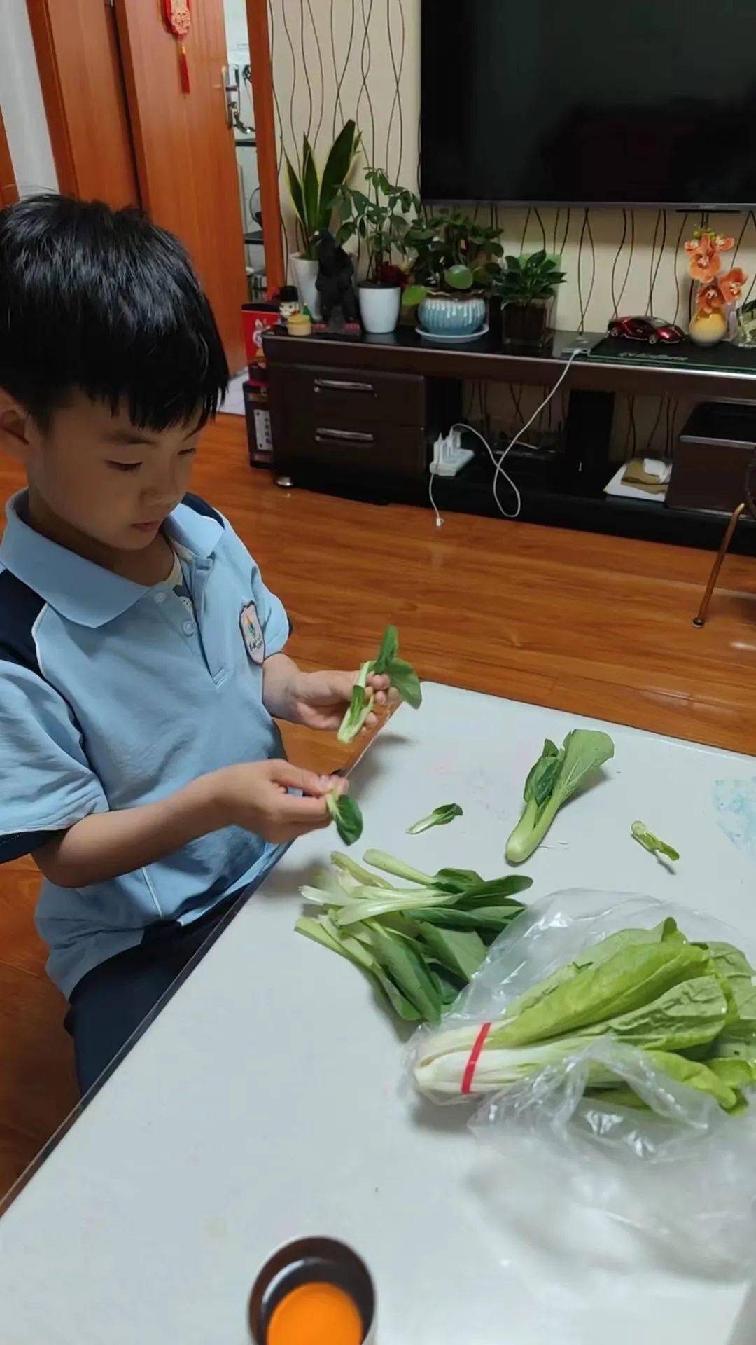 洗菜,择菜是大人们每天都要做的事情,孩子们学会了
