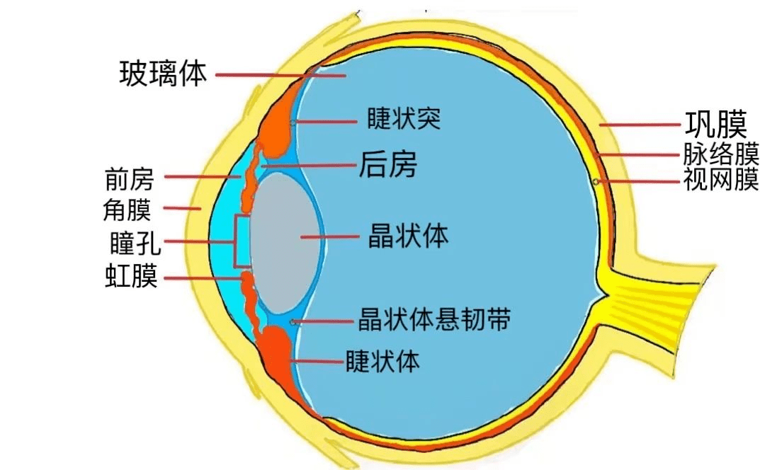 这些习惯正一步步摧毁你的眼睛!