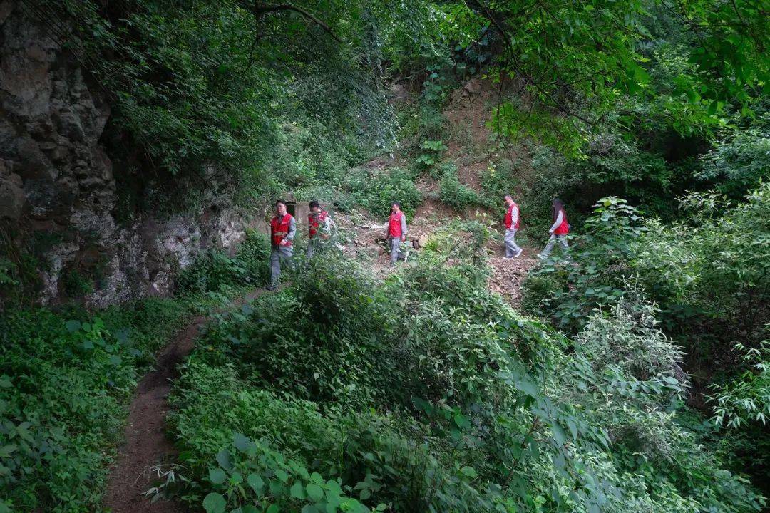 光伏專線,點亮深山人家_松滋_供電_村民