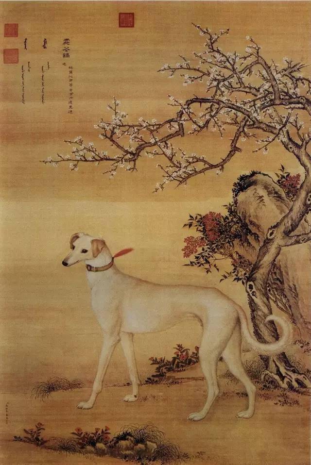 郎世宁为中国皇宫贵族画过很多画像,也画过很多狗,在他的笔下《十骏犬