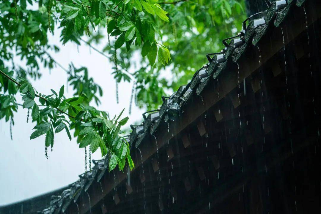 30首夏雨诗词,半夏听雨声,凉意入心来_夏天_暴雨_大雨