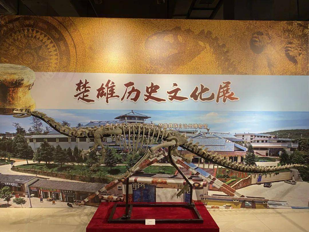 《楚雄历史文化展》在吉林省延边博物馆展出啦~_恐龙_铜鼓_世界